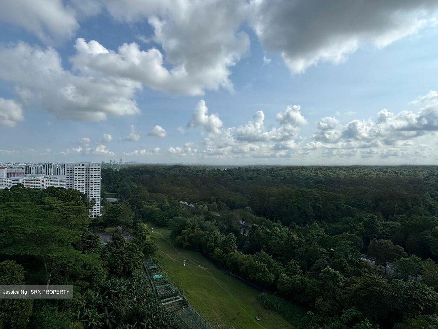 Eco Sanctuary (D23), Condominium #485863881